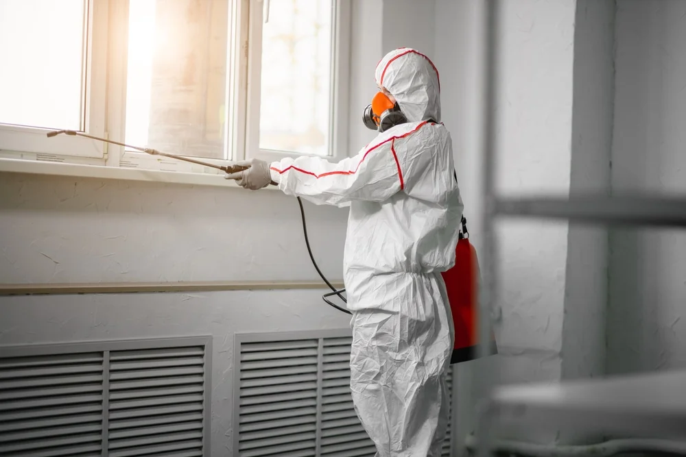 Professional mold remediation services in Shawnee, KS